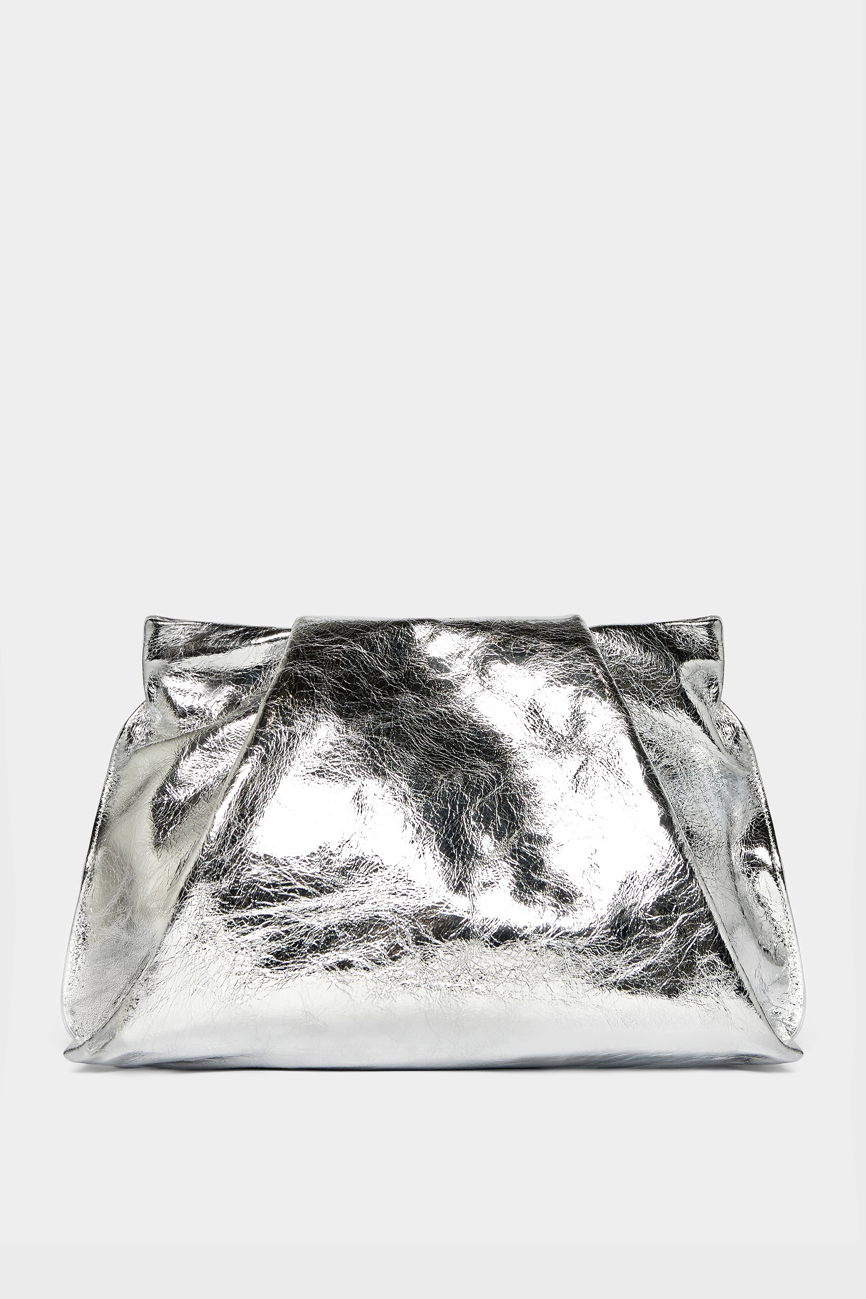Silver bag